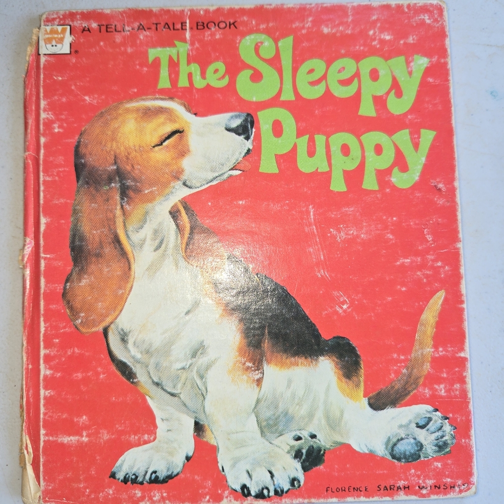 The Sleepy Puppy By Mary Jo Chamberlain Whitman Book